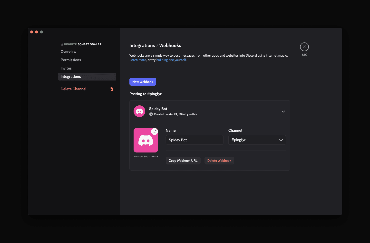 Discord webhook detail — Copy Webhook URL button