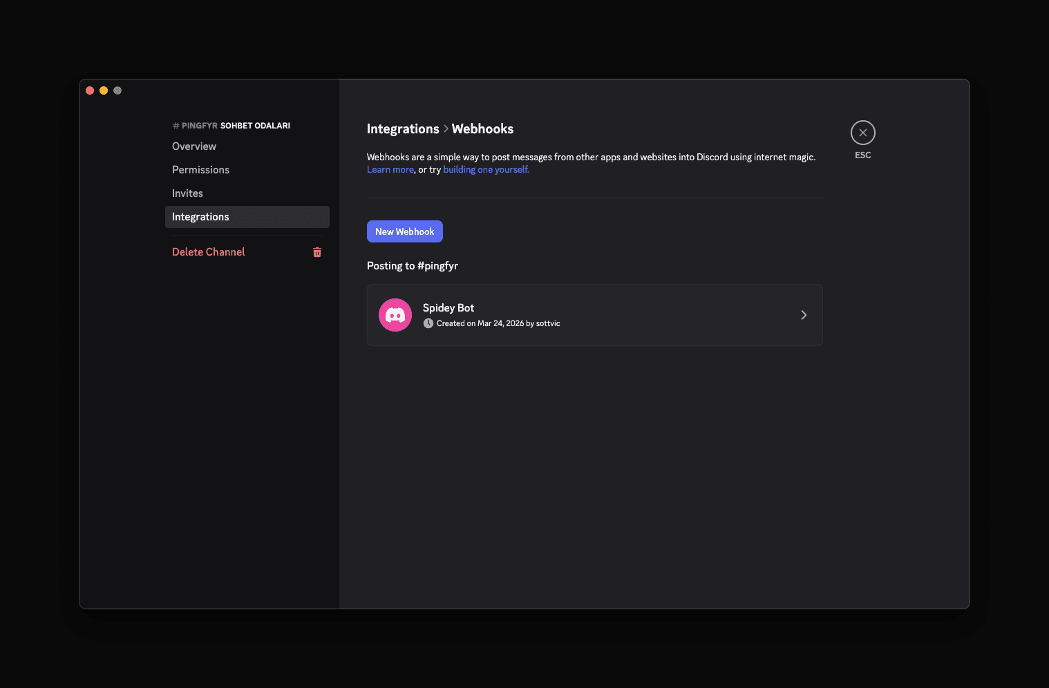 Discord Integrations — Webhooks page with New Webhook button